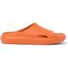 image:imageREEF Rio Slides Big KidMandarin