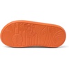 image:imageREEF Rio Slides Big KidMandarin