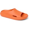 image:imageREEF Rio Slides Big KidMandarin