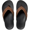 Black-brown23