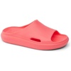 image:imageREEF Rio Slides Big KidSunset Coral