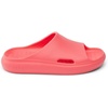 image:imageREEF Rio Slides Big KidSunset Coral