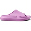 image:imageREEF Rio Slides Big KidTaffy