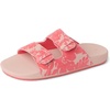 Cameo Rose Tropics