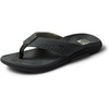 Grey-black-tan