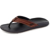 Copper-dark Brown