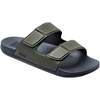Grey-olive