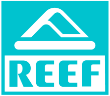 Reef Premium Sandals Official Store
